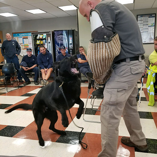 k9 safety and awareness training program